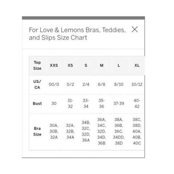 NWT FOR LOVE & LEMONS HIBISCUS EMBROIDERED MESH UNDERWIRE BRA IN PINK - Picture 7 of 7